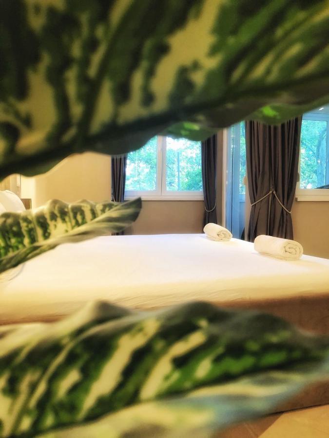 Spa Pleasure Apartman ノヴィ・サド エクステリア 写真