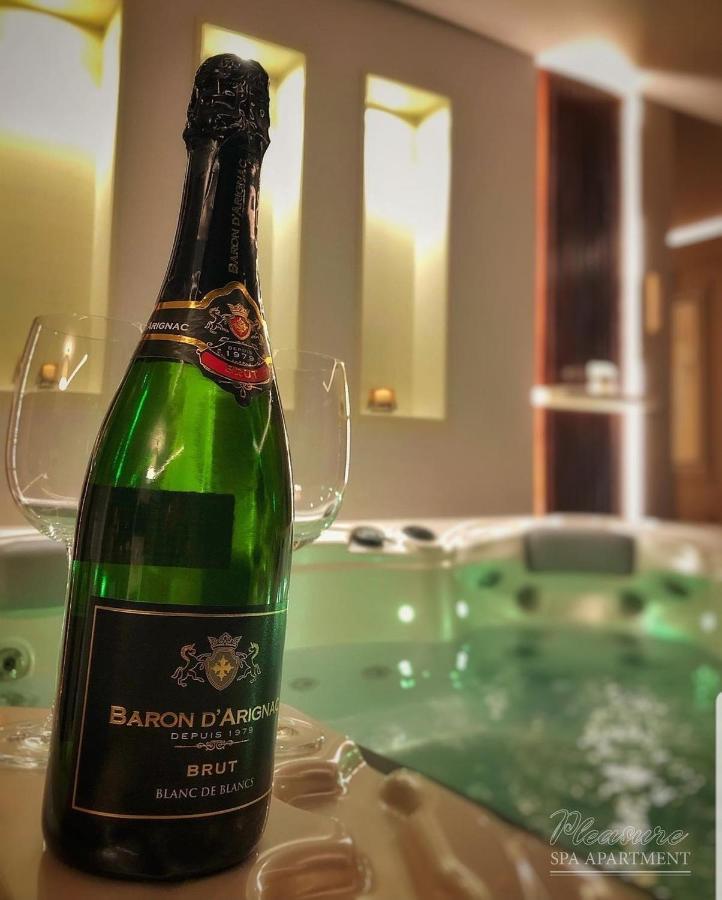 Spa Pleasure Apartman ノヴィ・サド エクステリア 写真