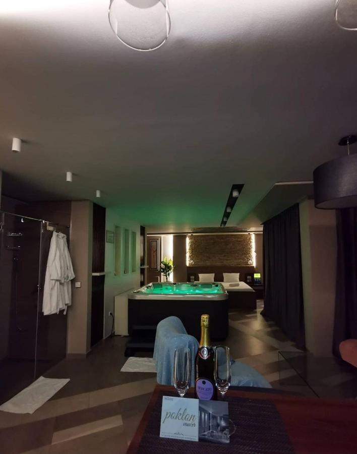 Spa Pleasure Apartman ノヴィ・サド エクステリア 写真
