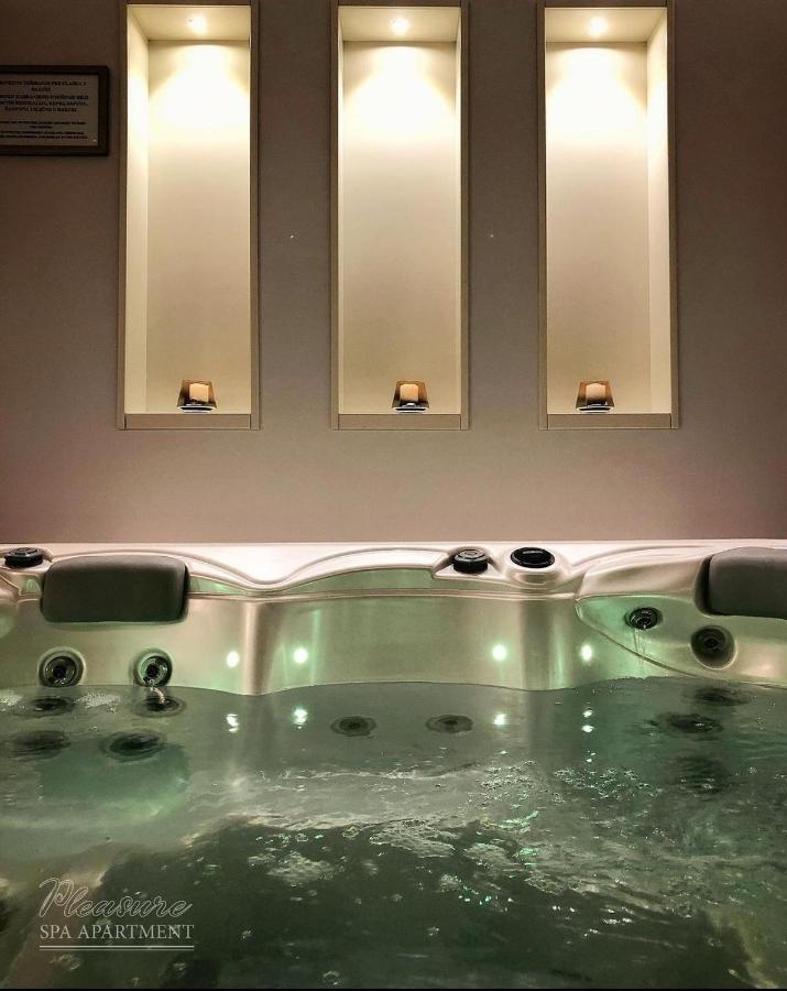 Spa Pleasure Apartman ノヴィ・サド エクステリア 写真