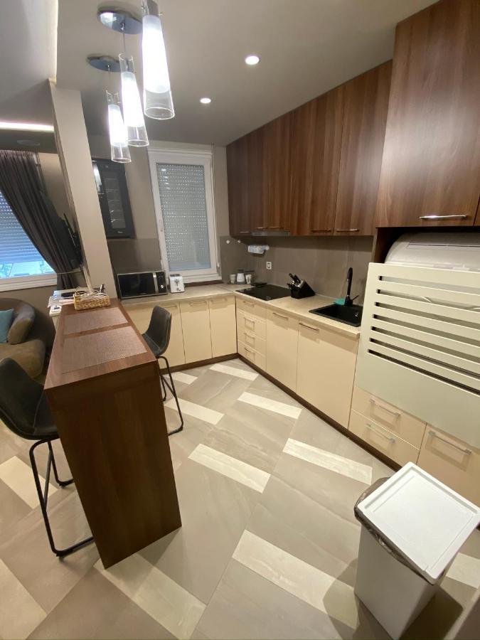 Spa Pleasure Apartman ノヴィ・サド エクステリア 写真